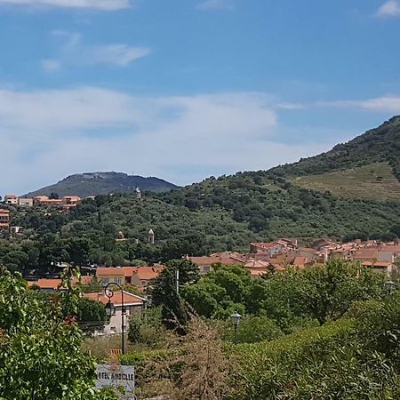 3Amb31 - Studio Pour 3 Personnes Avec Magnifique Vue Sur La Baie Collioure Exterior foto